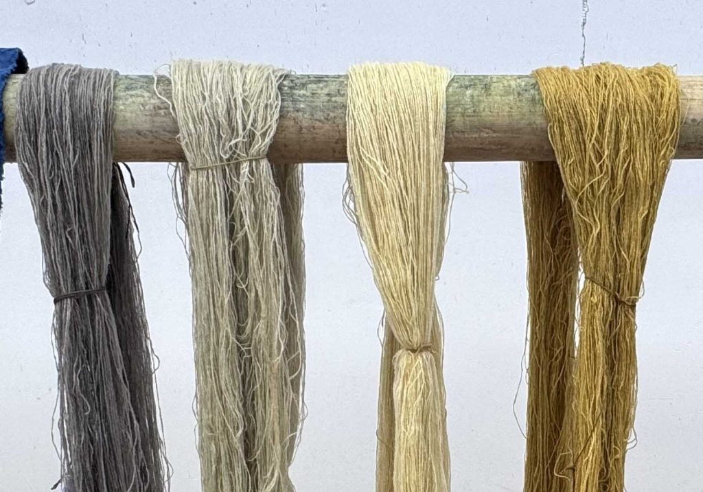 Natural Dyes